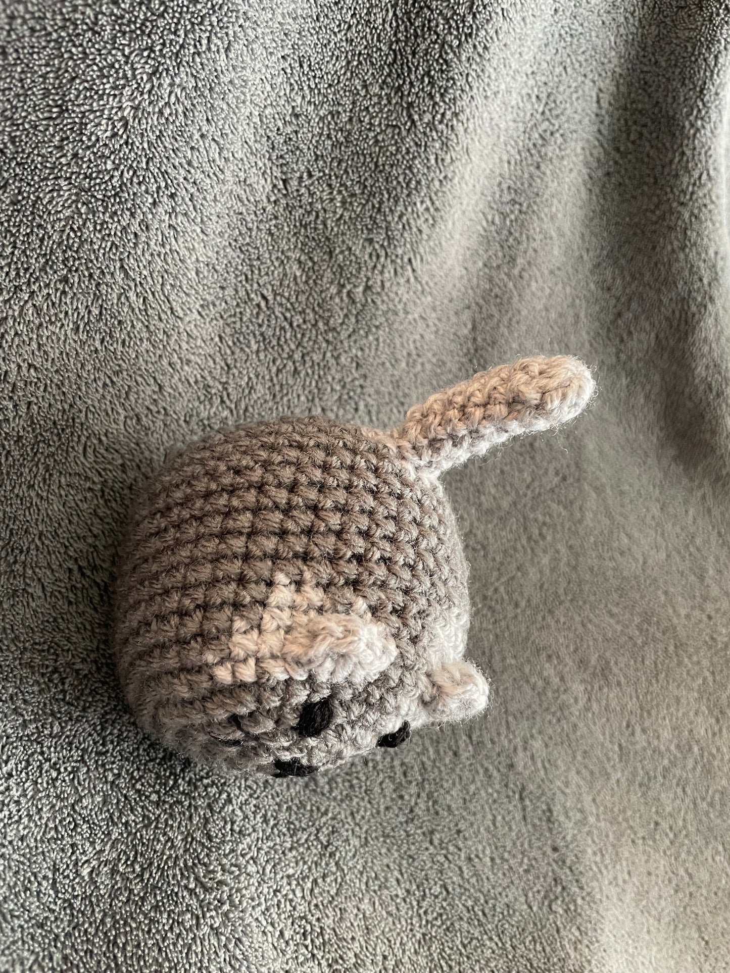 Small Loaf Kitten