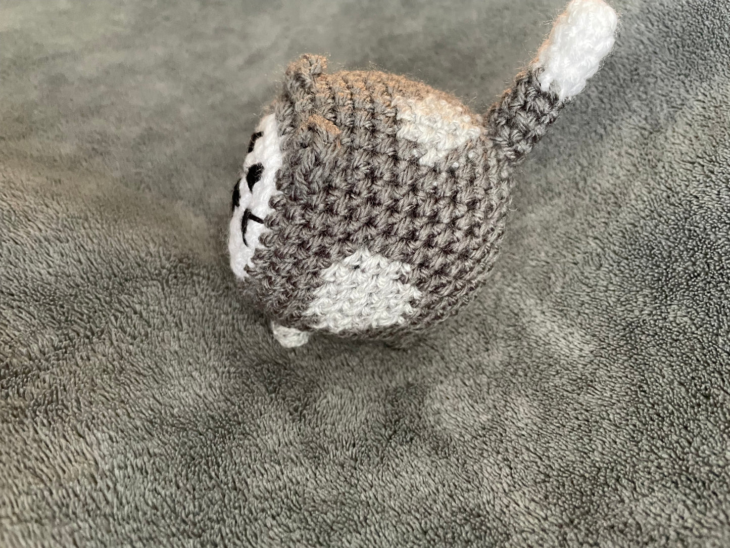 Small Loaf Kitten