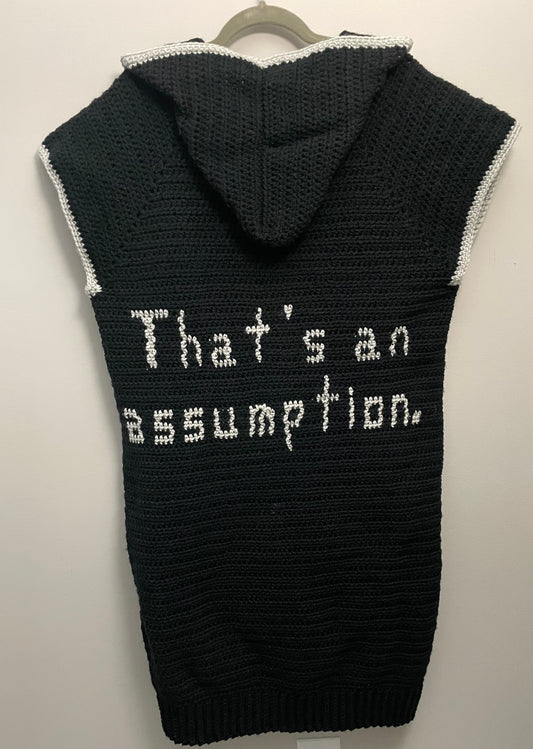 “That’s an assumption.” Long, Hooded, Sleeveless Cardigan/Vest (Black and Silver)