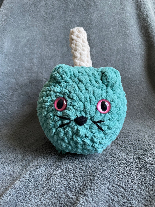 Teal and Cream Loaf Cat with Pink Eyes