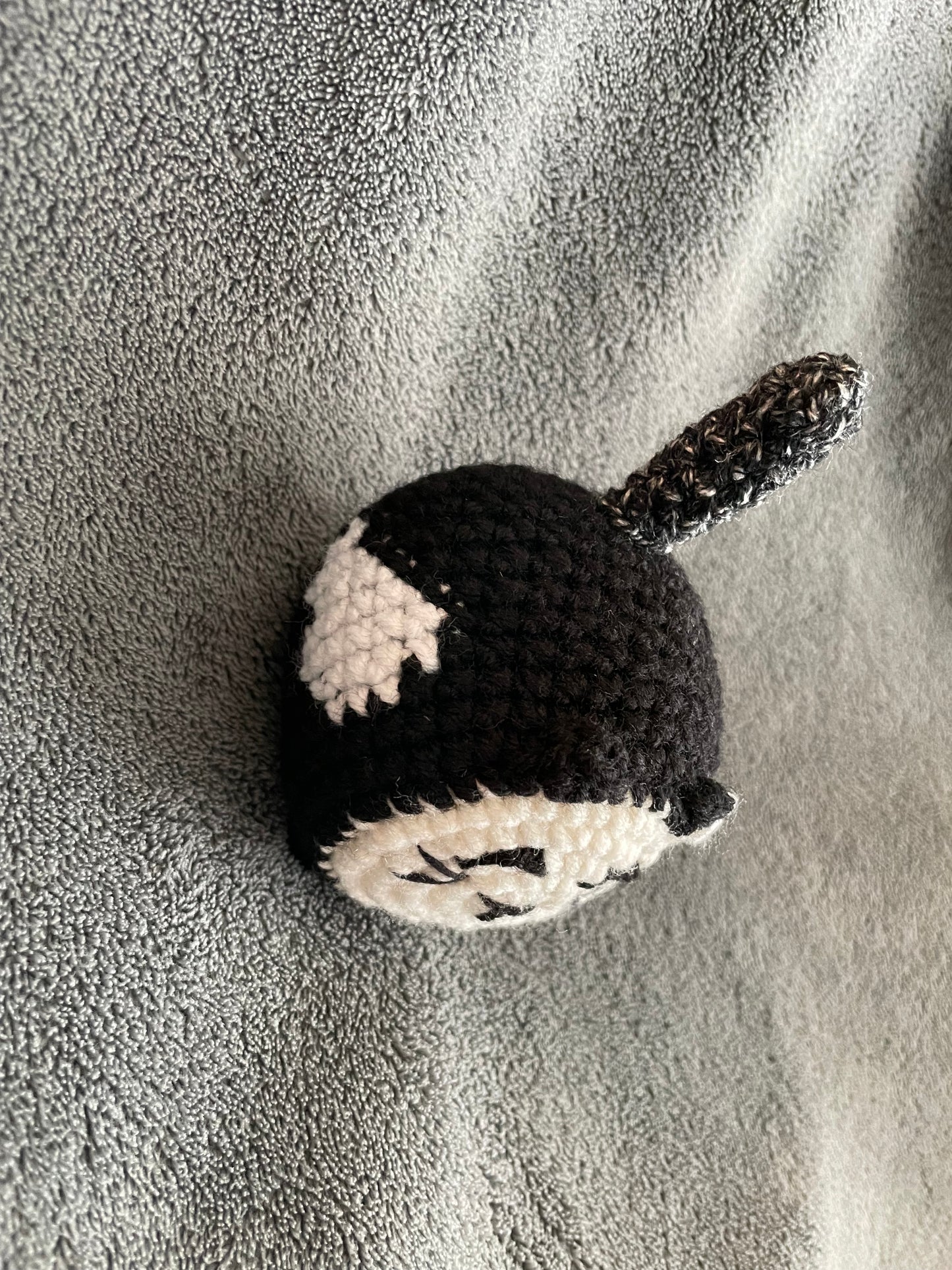 Small Loaf Kitten