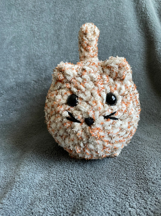 Speckled Orange and Cream Loaf Cat with Black Eyes