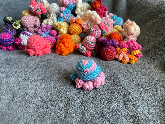 Mystery Octopus Fidget - set of 2